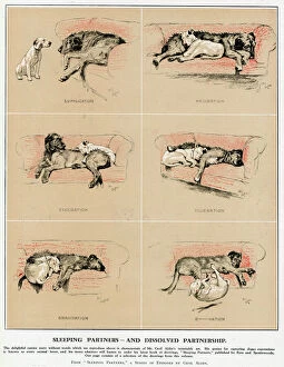 Sleeping Gallery: Sleeping Partners and Dissolved Partnership, Cecil Aldin