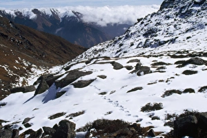 Snow Leopard Tracks - 4500m altitude Snow Leopard Tracks - 4500m altitude
