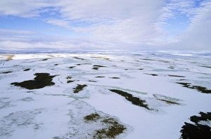 Russia Gallery: Snow melts in arctic tundra spring. Aerial view