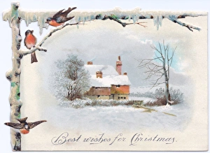 Snow scene with robins and cottage on a Christmas card Snow scene with robins and cottage on a Christmas card