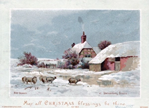 Snow scene with sheep and pond on a Christmas card Snow scene with sheep and pond on a Christmas card