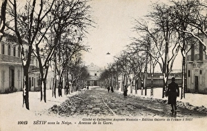 Snow scene in Station Avenue, Setif, Algeria Snow scene in Station Avenue, Setif, Algeria