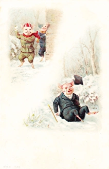 Snowballing pigs on a Christmas postcard Snowballing pigs on a Christmas postcard