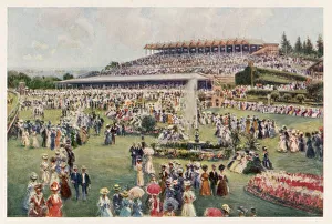 Social/Melbourne Races