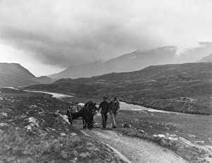 Soctland/Glen Affric Soctland/Glen Affric