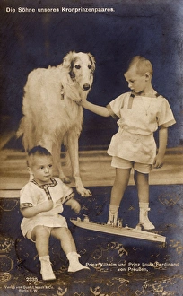 Sons of Crown Prince Wilhelm - Wilhelm and Louis Ferdinand Sons of Crown Prince Wilhelm - Wilhelm and Louis Ferdinand