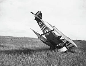 Crashed Gallery: Sopwith Camel biplane in forced landing, France, WW1