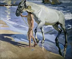 Impressionist Gallery: SOROLLA, Joaqu�(1863-1923). White Horse. 1909