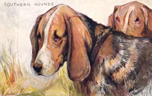 Southern Hounds Southern Hounds
