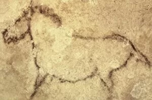 SPAIN. Kortezubi. Horse (13000 BF). Upper Paleolithic