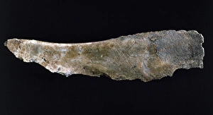 Scapula Gallery: Spain. Magdalenian (16000-15000). Scapula depicting a figure
