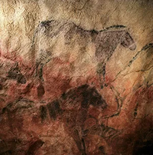 SPAIN. Ribadesella. Tito Bustillo Cave. Shaggy SPAIN. Ribadesella. Tito Bustillo Cave. Shaggy