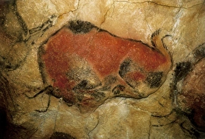 SPAIN. Santillana de Mar. Altamira Caves. Bison SPAIN. Santillana de Mar. Altamira Caves. Bison