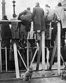 Spectators watch coronation rehearsal on wooden stands Spectators watch coronation rehearsal on wooden stands