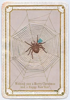 Pull Gallery: Spider and web on a Christmas card