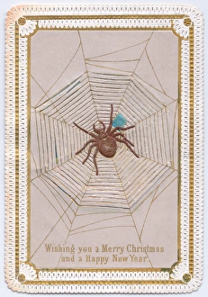Pull Gallery: Spider and web on a Christmas card