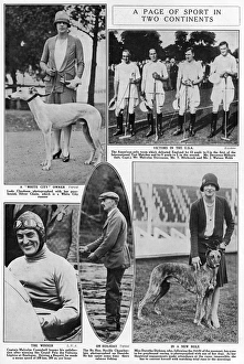 Sport and celebrities in the Bystander Sport and celebrities in the Bystander
