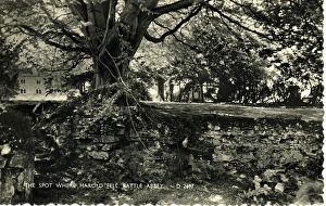 The Spot where King Harold Fell, Battle Abbey, Sussex The Spot where King Harold Fell, Battle Abbey, Sussex