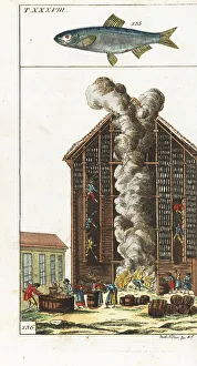 Sprat, and herring being hung in a smokehouse, 18th century Sprat, and herring being hung in a smokehouse, 18th century