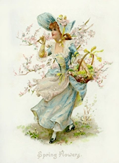<b class=qtipBold><figcaption>Spring Flowers</figcaption></b><br>Spring Flowers Date: circa 1898<br><em>© Mary Evans Picture Library/Peter & Dawn Cope Collection</em> Spring Flowers