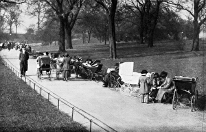 A spring scene in Hyde Park - nannies with their children A spring scene in Hyde Park - nannies with their children
