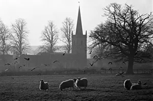 Rutland Gallery: 
