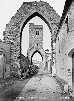 Derelict Gallery: St. Marys Abbey, Drogheda
