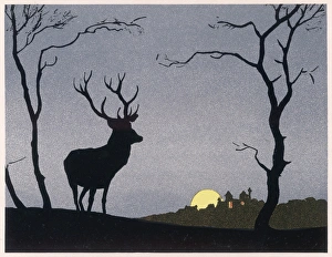 <b class=qtipBold><figcaption>Stag Silhouetted</figcaption></b><br>A stag stands silhouetted against the evening sky, while a full moon rises beyond yon stately home whose residents are even now planning to hunt it on the morrow<br><em>© Mary Evans Picture Library</em> Stag Silhouetted
