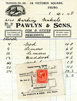 Stamp Collection: Stationery, Pawlyn & Sons, Victoria Square, Truro, Cornwall