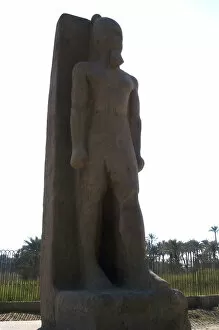 Images Dated 18th November 2003: Statue of Pharaoh Ramses II. Memphis. Egypt