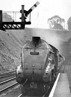 Tunnels Collection: Steam locomotive Sir Nigel Gresley, Welwyn Garden City