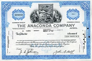 Stock Share Certificate - The Anaconda Company