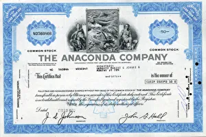 Stock Share Certificate - The Anaconda Company Stock Share Certificate - The Anaconda Company