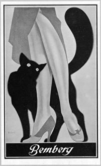<b class=qtipBold><figcaption>Stockings Advert. 1931</figcaption></b><br>Advertisement for Bemberg's stockings, depicting a black cat curling itself around the legs of a woman<br><em>© Mary Evans Picture Library</em> Stockings Advert. 1931