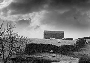 A stone barn on a farm in Coverdale in the Yorkshire Dales A stone barn on a farm in Coverdale in the Yorkshire Dales