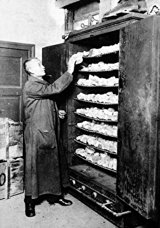 Stone fragments in the bakery of an archaeological laborator Stone fragments in the bakery of an archaeological laborator