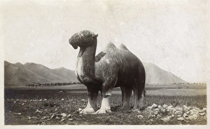 Stone statue of a camel on the approach to the Ming Tombs Stone statue of a camel on the approach to the Ming Tombs
