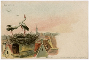 The storks lay a precious egg in their nest - Strasbourg The storks lay a precious egg in their nest - Strasbourg