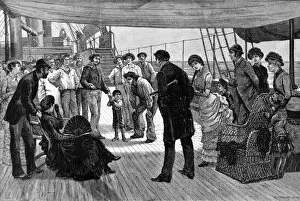 Images Dated 22nd June 2004: A Stowaway found on a Victorian Ship, 1884