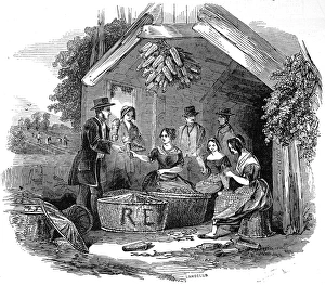 The Strawberry Trade - pottling The Strawberry Trade - pottling