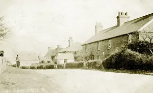Sussex Gallery: Brede Collection