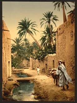 Street in the old town, I, Biskra, Algeria Street in the old town, I, Biskra, Algeria