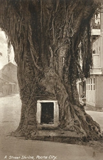 Poona Gallery: Street Shrine in the base of a tree trunk - Pune, India