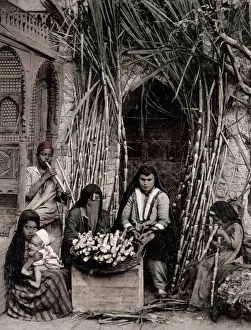 Street vendor of sugar cane, Cairo, Egypt Street vendor of sugar cane, Cairo, Egypt