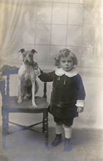 Studio portrait, boy with Jack Russell terrier Studio portrait, boy with Jack Russell terrier