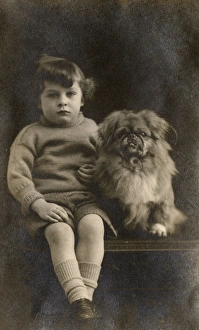 Studio portrait, boy with Pekingese dog Studio portrait, boy with Pekingese dog