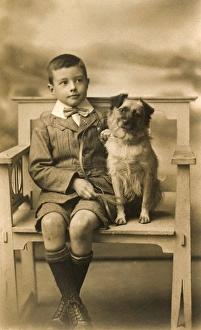 Studio portrait, little boy with his dog Studio portrait, little boy with his dog