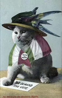 1908 Gallery: Suffragette Cat In Hat and Flag