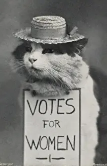 Votes for Women Suffragette Cat Print, circa 1908