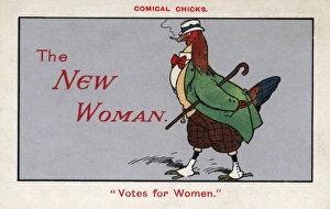 Suffragette Chicken as New Woman Suffragette Chicken as New Woman